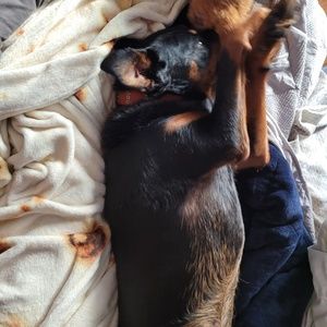 Meet your Posher, Alexis